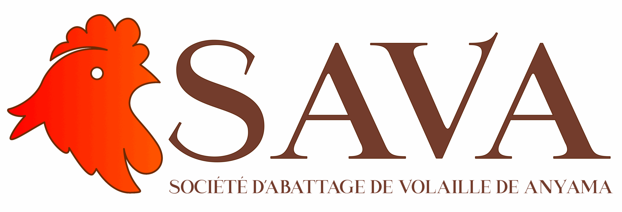 Le Mag Lions